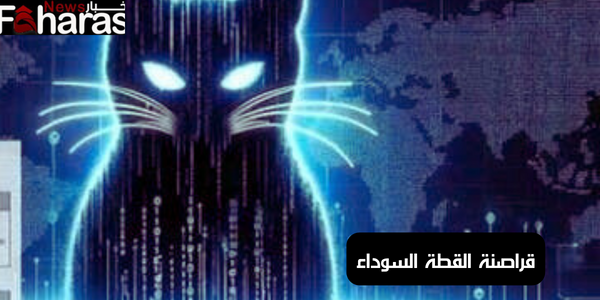 قراصنة القطة السوداء Black cat hack