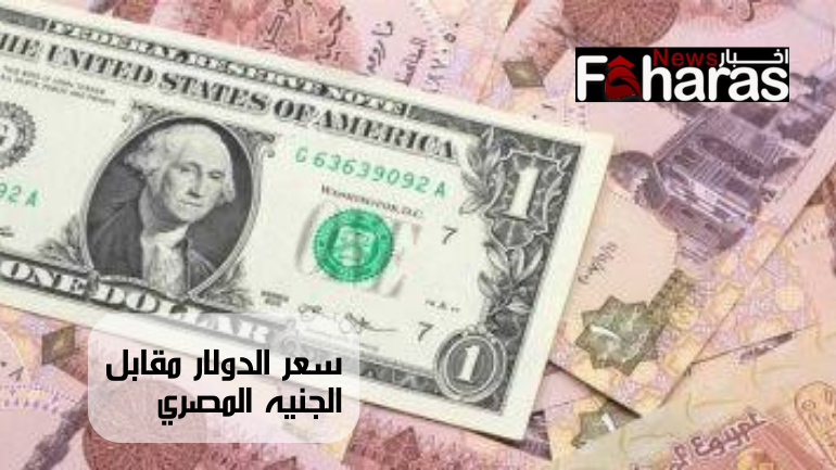 سعر الدولار مقابل الجنيه المصري The price of the dollar against the Egyptian pound